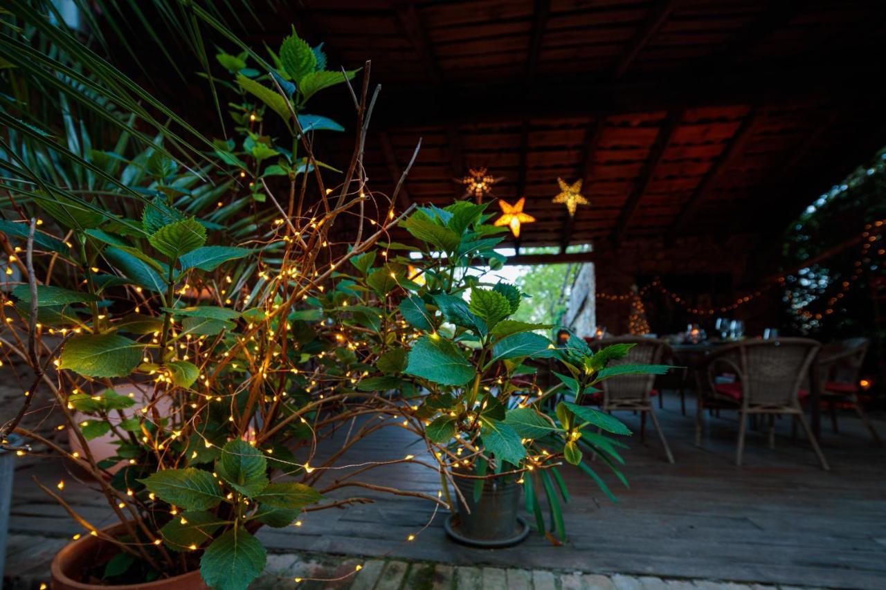 ลา วีแยล แมซง - อัลต์ กูร์ม็องด์ Bed & Breakfast Durfort-et-Saint-Martin-de-Sossenac ภายนอก รูปภาพ